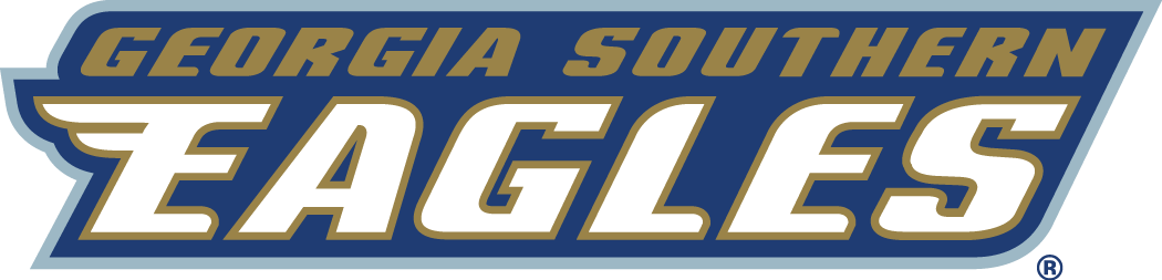 Georgia Southern Eagles 2004-Pres Wordmark Logo diy iron on heat transfer v2